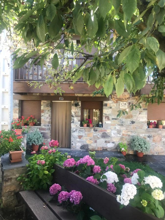 Casa Rural Magdalena Βίλα Espinareda de Vega Εξωτερικό φωτογραφία