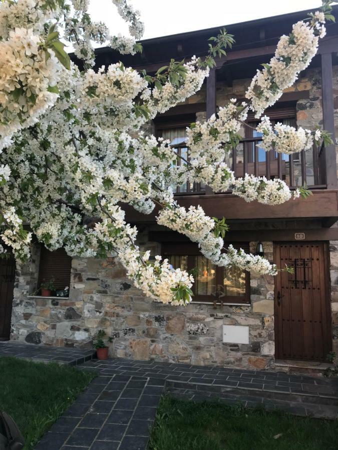 Casa Rural Magdalena Βίλα Espinareda de Vega Εξωτερικό φωτογραφία